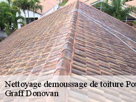 nettoyage-demoussage-de-toiture  pourcheres-07000 Graff Donovan