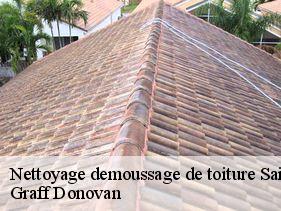 nettoyage-demoussage-de-toiture  saint-julien-vocance-07690 Graff Donovan