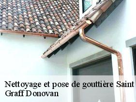 nettoyage-et-pose-de-gouttiere  saint-julien-vocance-07690 Graff Donovan