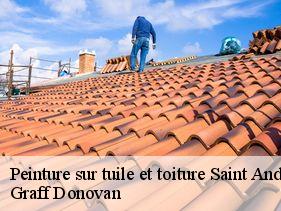 peinture-sur-tuile-et-toiture  saint-andeol-de-berg-07170 Graff Donovan