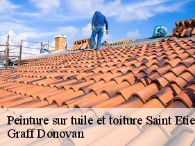 peinture-sur-tuile-et-toiture  saint-etienne-de-fontbellon-07200 Graff Donovan