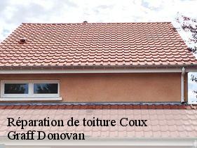 reparation-de-toiture  coux-07000 Graff Donovan