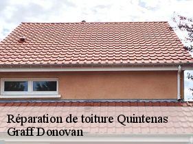 reparation-de-toiture  quintenas-07290 Graff Donovan