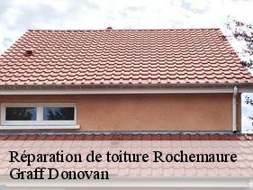 reparation-de-toiture  rochemaure-07400 Graff Donovan