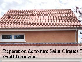 reparation-de-toiture  saint-cirgues-de-prades-07380 Graff Donovan