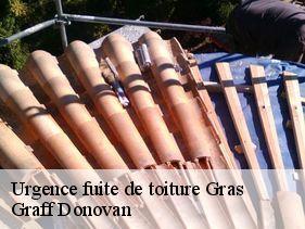 urgence-fuite-de-toiture  gras-07700 Graff Donovan