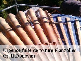 urgence-fuite-de-toiture  planzolles-07230 Graff Donovan